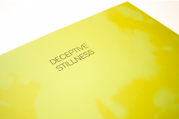 Deceptive Stillness