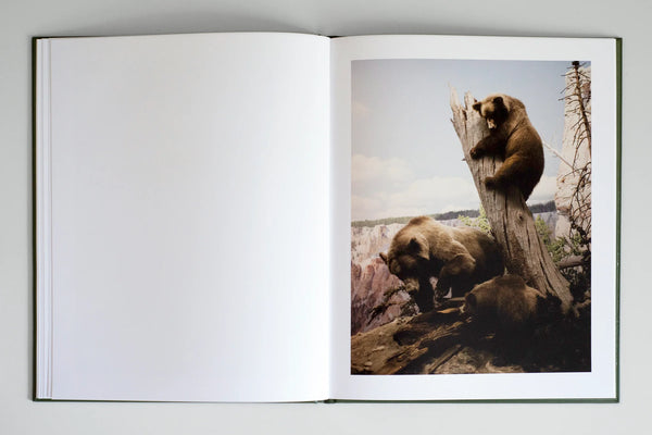 Zoology. Benvenuti nel regno animale