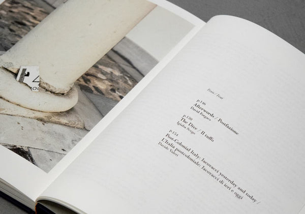 Romanzo Meticcio