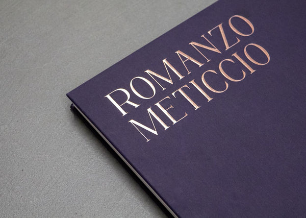 Romanzo Meticcio