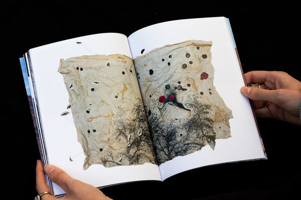 Cahier nr. 11 - Lapilli
