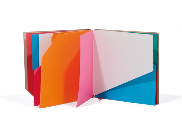 Libro Illeggibile mini