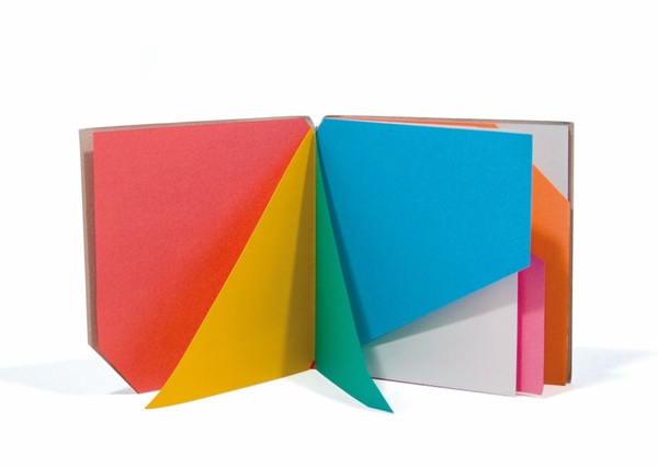 Libro Illeggibile mini