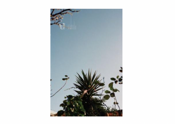 Stay Alone #2