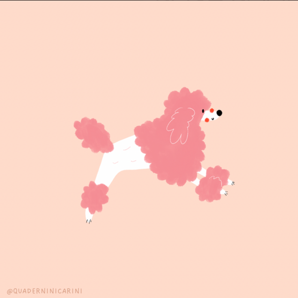 Posh Poodle Notebook