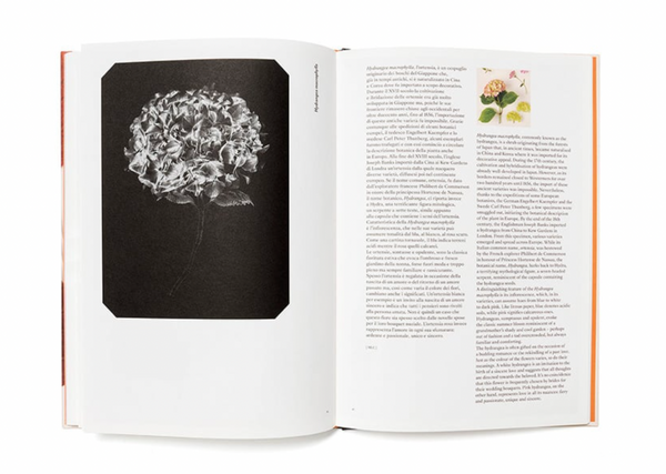 Chromatic Herbarium