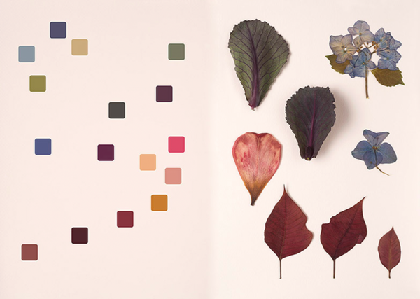 Chromatic Herbarium