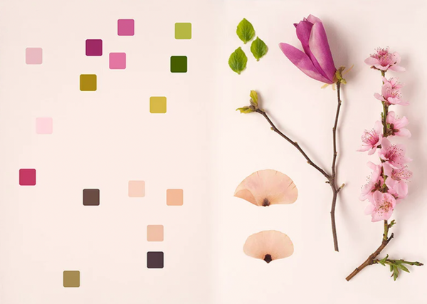 Chromatic Herbarium