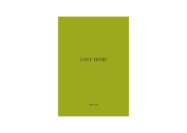 Lost Home