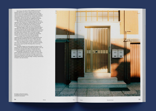 PELLICOLA Volume 01: Time