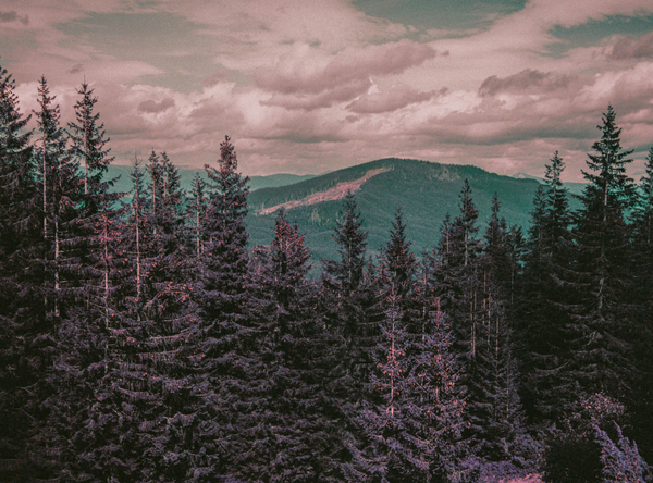 Moving Landscapes