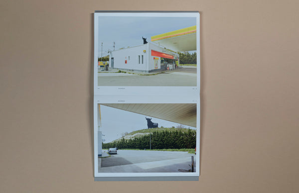 Toros. The Marking of a Territory