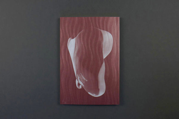 Une généalogie des grandes oreilles