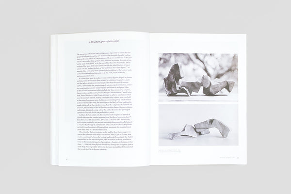 Paolo Icaro: faredisfarerifarevedere (English edition)