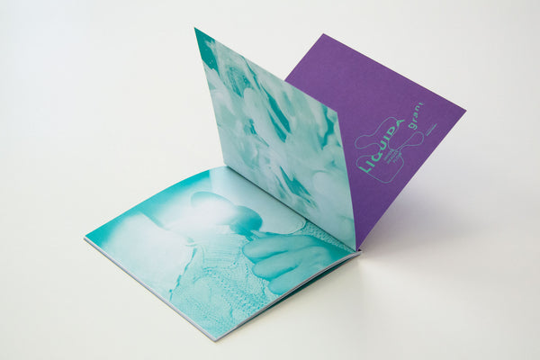 Cahier nr. 3 - Liquida grant