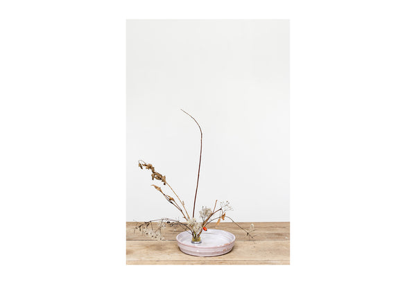 One flower, one leaf