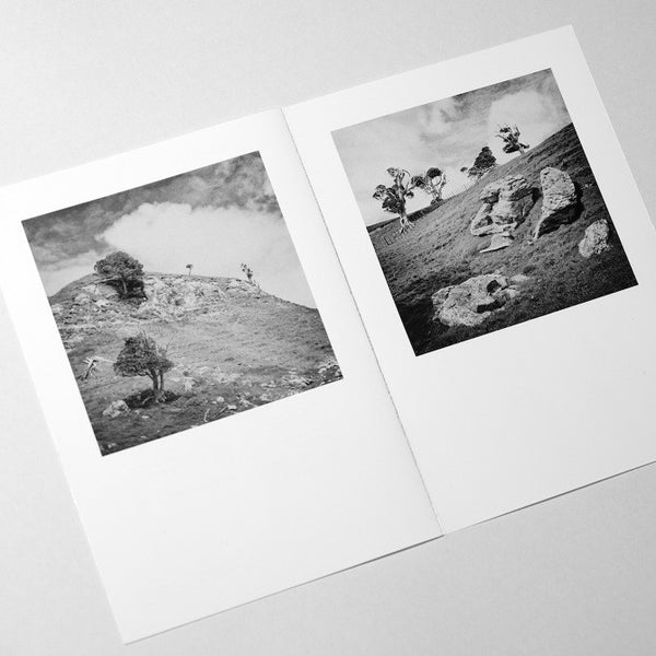 The Puriri Tree - The Monograph Series n. 1