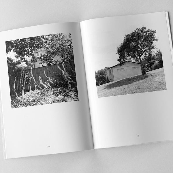 Plain Vanilla in The Town of Love - The Monograph Series n. 2