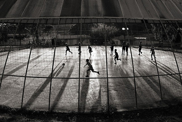 Nomadelfia. Un'oasi di fraternità