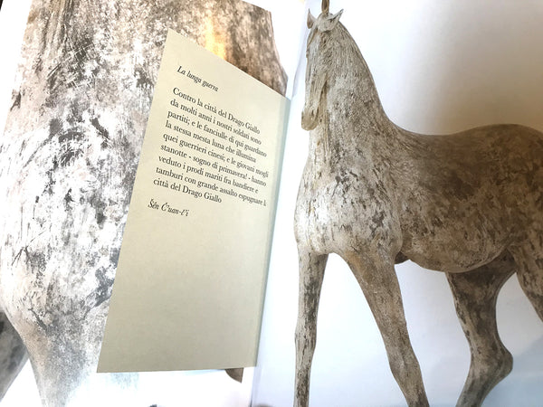Polvere gialla. La collezione Lucia e Silvio Arcelloni