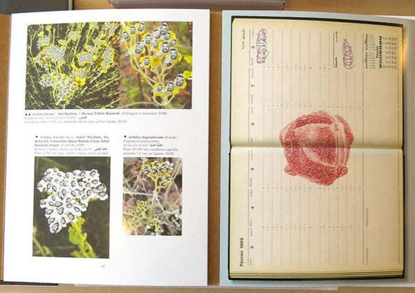 Better be Watching the clouds