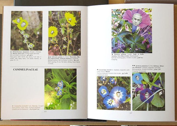 Better be Watching the clouds