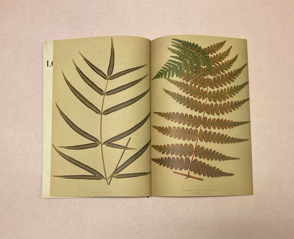 The Long 19th Century Digested "zine edition"