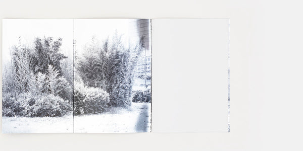 Loreto. Un fascino indiscreto