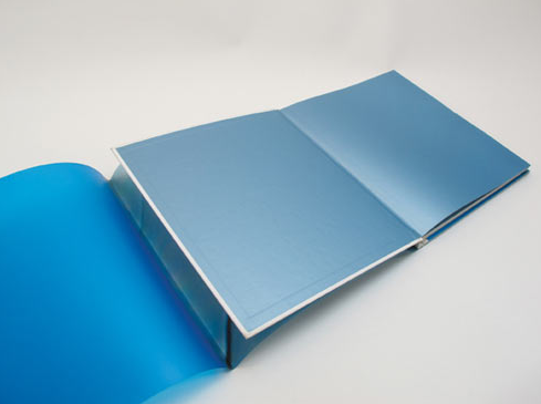 The book by Flavio Favelli