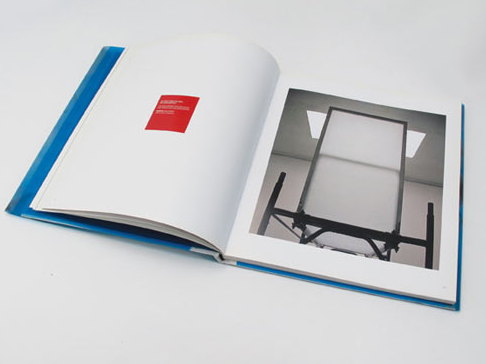 The book by Flavio Favelli
