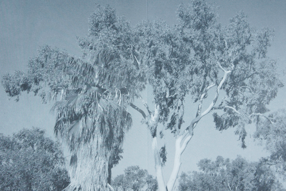 I’m not tailgating, I’m drafting