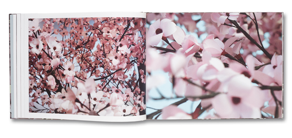Blossom - Signed!