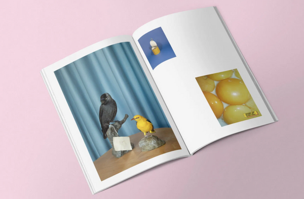 Bad Taste flavour - Yogurt Magazine Vol.2