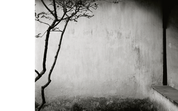 The Walls of Suzhou Gardens