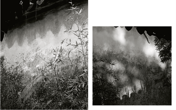 The Walls of Suzhou Gardens