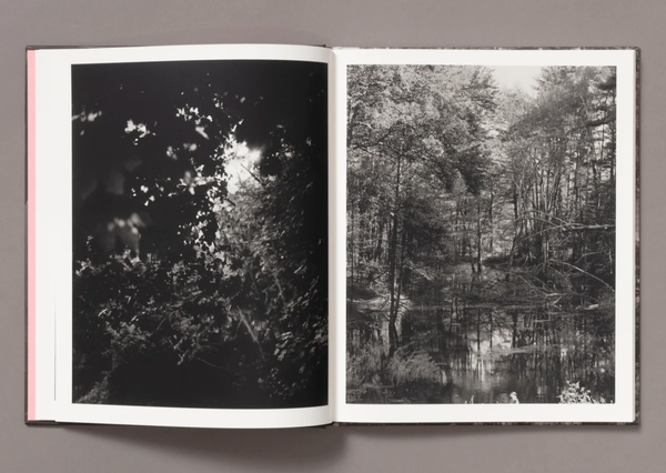 Let Me Sow Love - SIGNED!