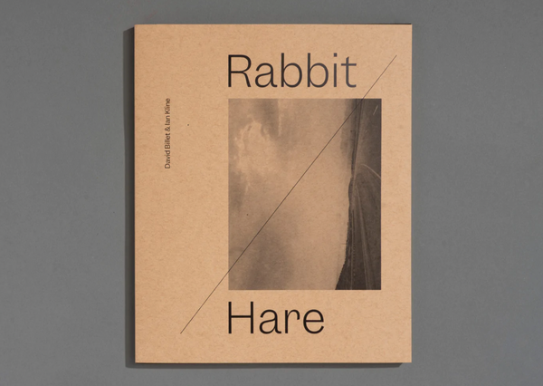 Rabbit / Hare