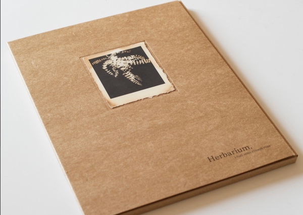 Herbarium - I fiori sono rimasti rosa