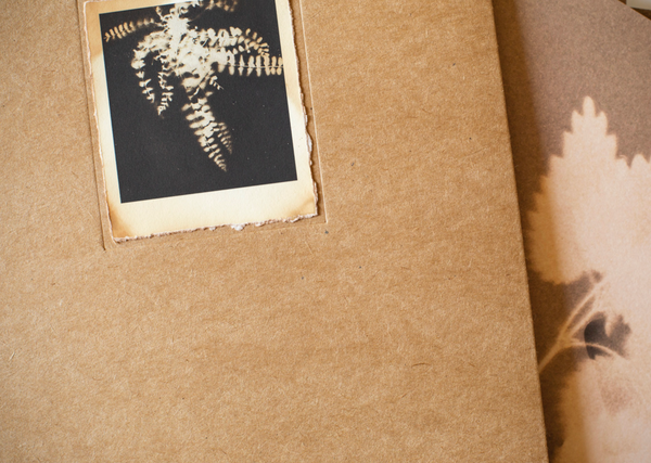 Herbarium - I fiori sono rimasti rosa