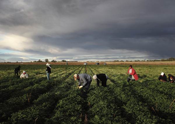Undocumented: Immigration and the Militarization of the U.S.-Mexico Border