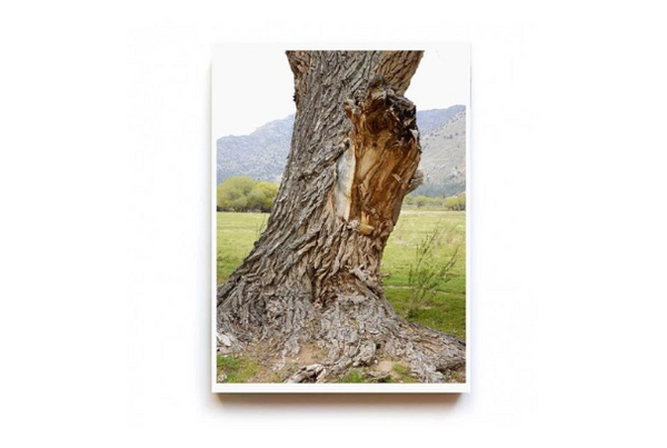 I’m not tailgating, I’m drafting