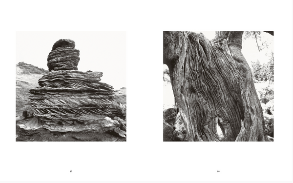 Trees like Stones