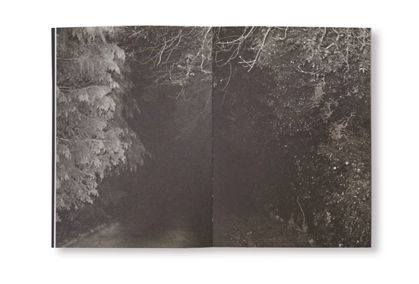 I went to the worst of bars hoping to get killed, but all I could do was get drunk again