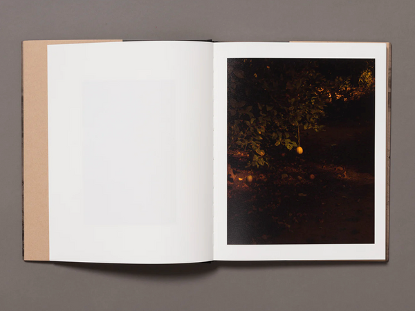 and in its place, another