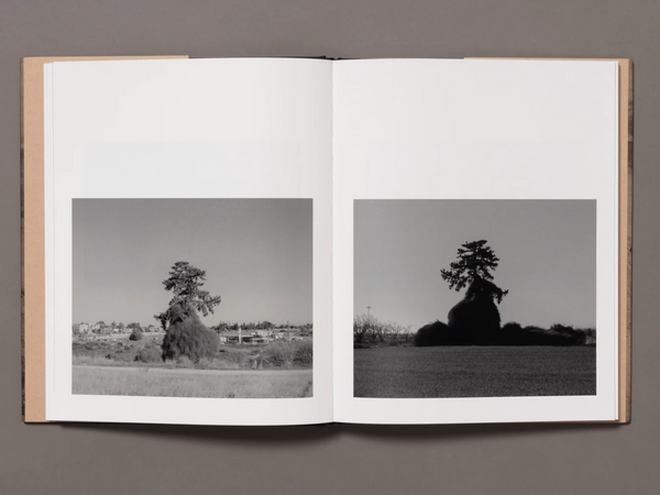 and in its place, another