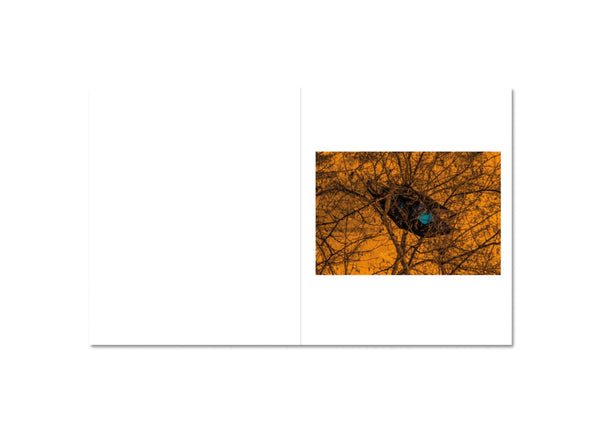 Tales of Estrangement