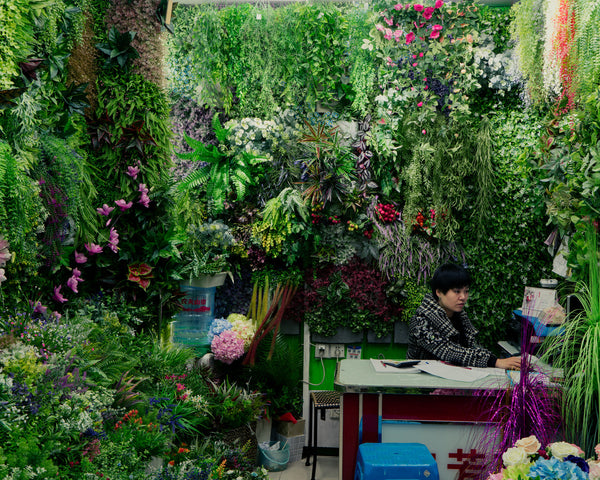 Sinomocene Collector Edition Print II