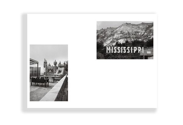 A Palm Tree Bows to the Moon