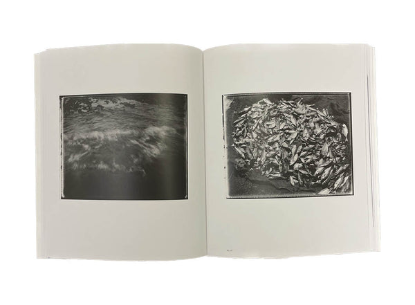 Una Segnaletica dell'Essere