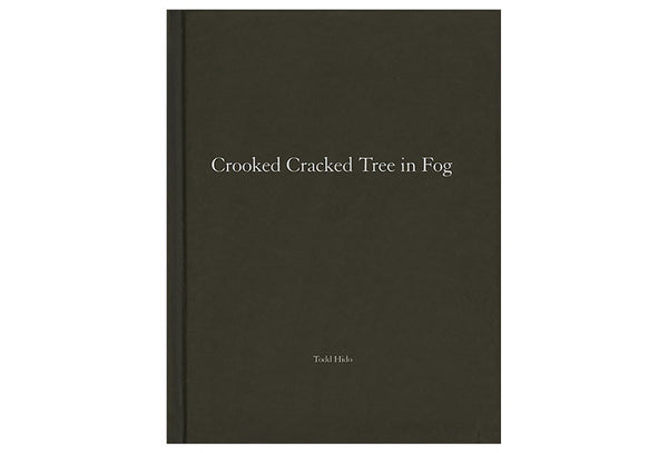 Crooked Cracked Tree in Fog